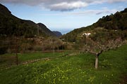 La Gomera - El Cedro - El Cedro