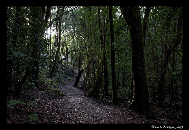 La Gomera - El Cedro - Barranco del Cedro