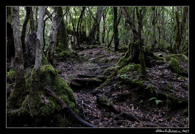 La Gomera - El Cedro - Barranco del Cedro