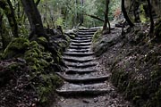 La Gomera - El Cedro - Barranco del Cedro