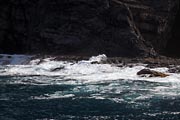 La Gomera - boat trip to Los Organos -