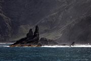 La Gomera - boat trip to Los Organos - petrified seals ...?