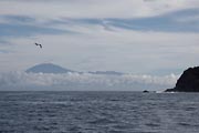 La Gomera - boat trip to Los Organos - Teide (Tenerife)