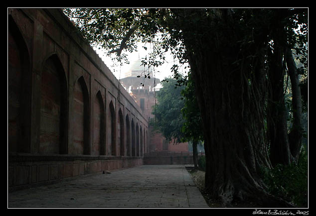 Agra - Taj Mahal