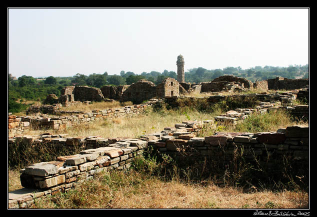 Chittaurgarh fort