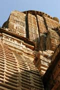 a Hindu temple, Chittaurgarh