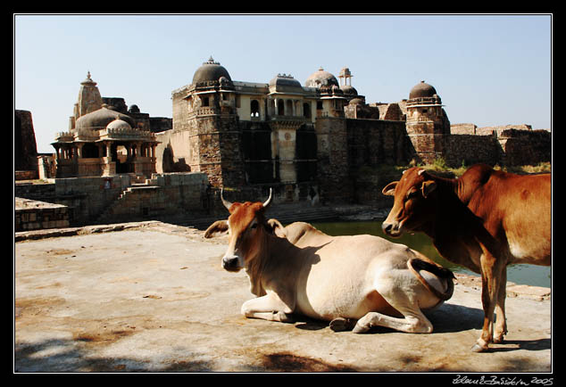 Rattan Singh Mahal - Chittaurgarh