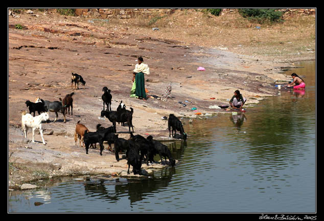 Rattaneshwar Talaab - Chittaurgarh