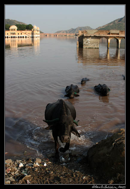 Jaipur - Water Palace