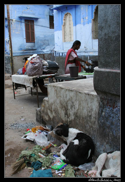 Jodhpur