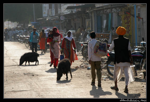 Sawai Madhopur