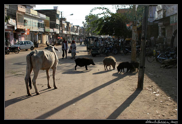 Sawai Madhopur