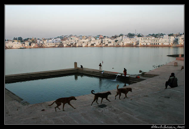 Pushkar