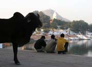 Pushkar