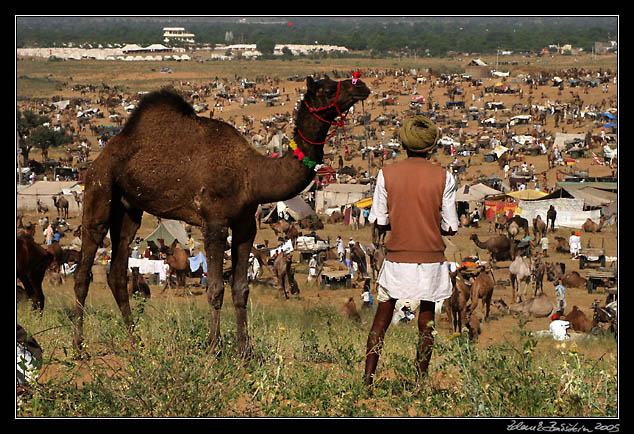 Pushkar