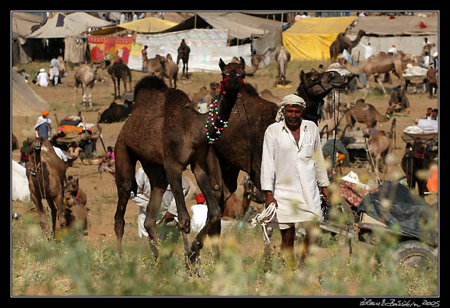 Pushkar