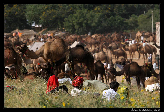 Pushkar