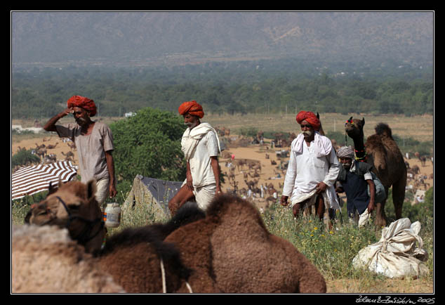 Pushkar