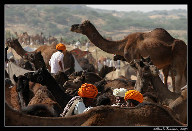 Pushkar