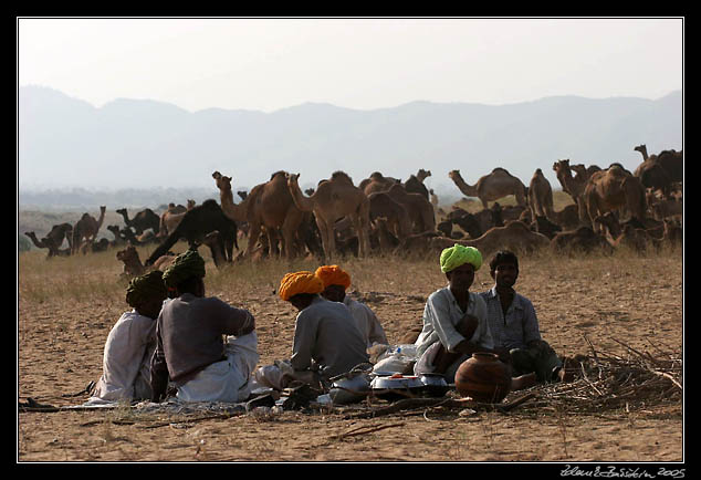 Pushkar