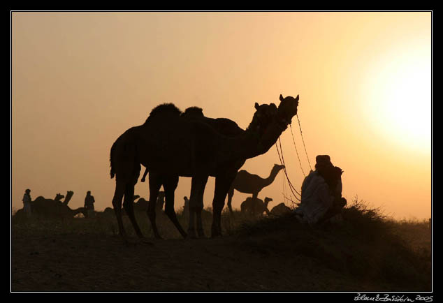 Pushkar