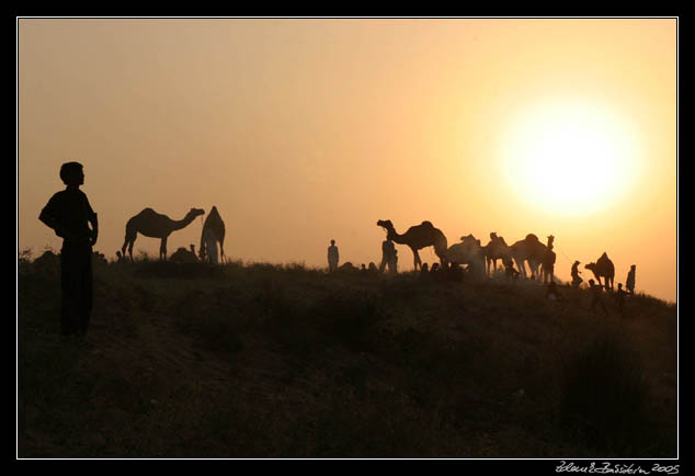 Pushkar