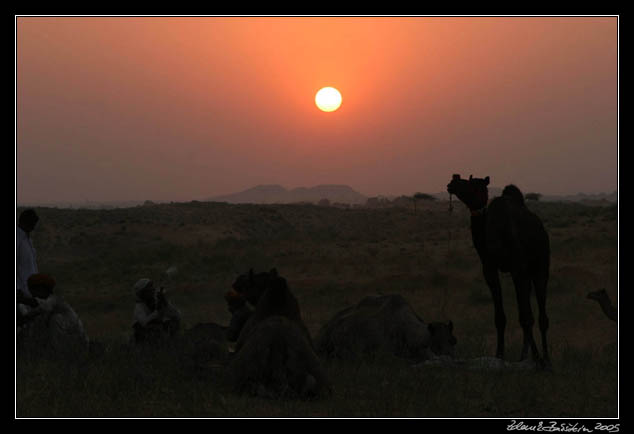 Pushkar