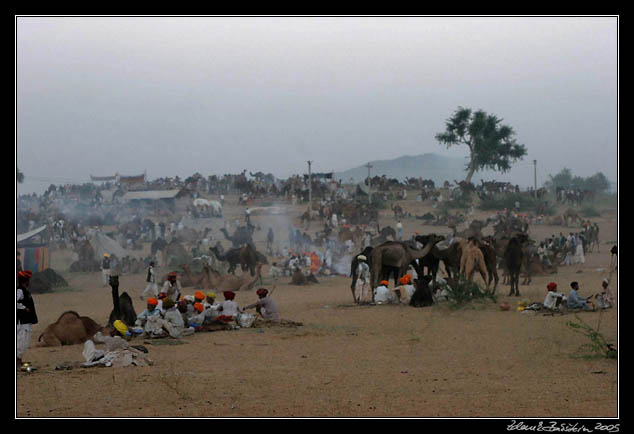 Pushkar