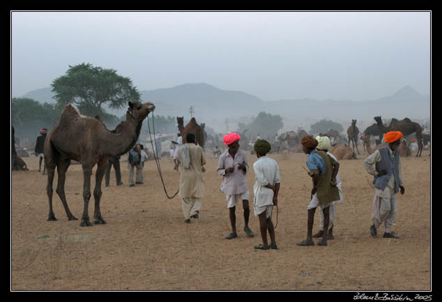 Pushkar