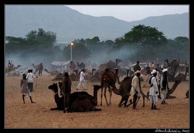 Pushkar