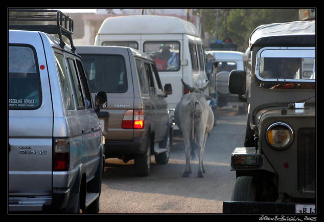 Traffic in Phalna