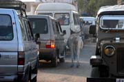 Traffic in Phalna