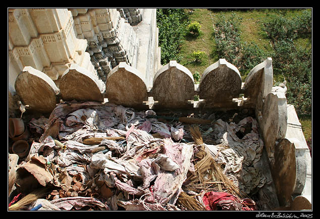 Ranakpur - used brushes