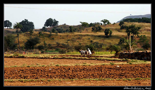 Rajasthan