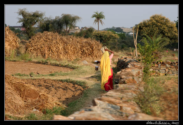 Rajasthan