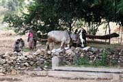 Rajasthan - irrigation in Aravali