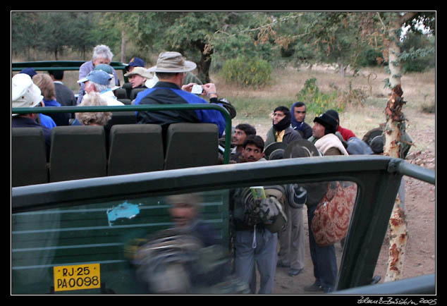 Ranthambore national park