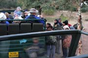 Ranthambore national park