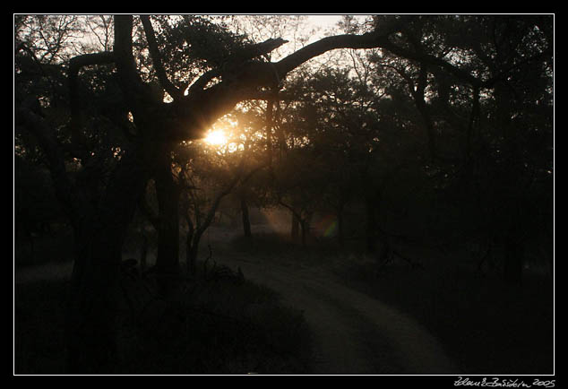 Ranthambore national park