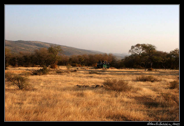 Ranthambore national park