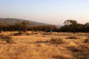 Ranthambore national park