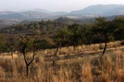 Ranthambore national park