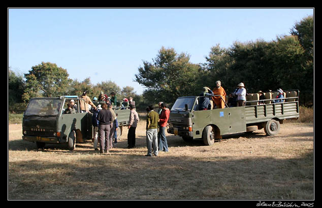 Ranthambore national park