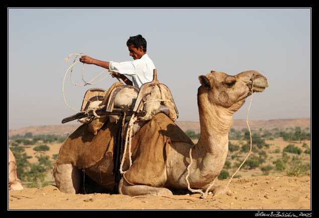 Thar desert