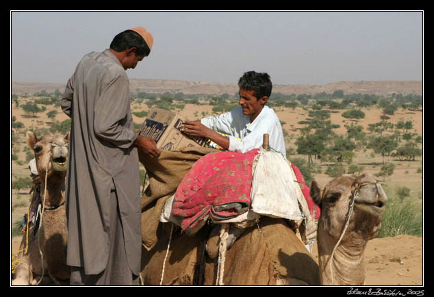 Thar desert