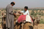 Thar desert