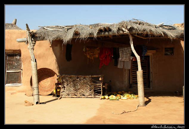 Thar desert