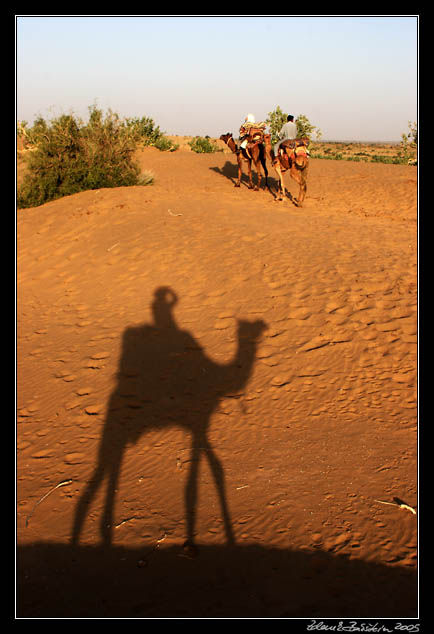 Thar desert