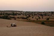 Thar desert