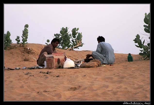 Thar desert